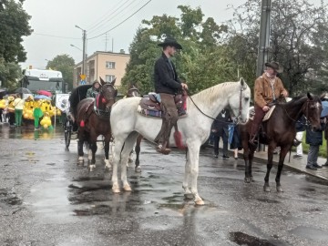 44. Święto Kwiatów, Owoców i Warzyw - w optymistycznym kolorze, 